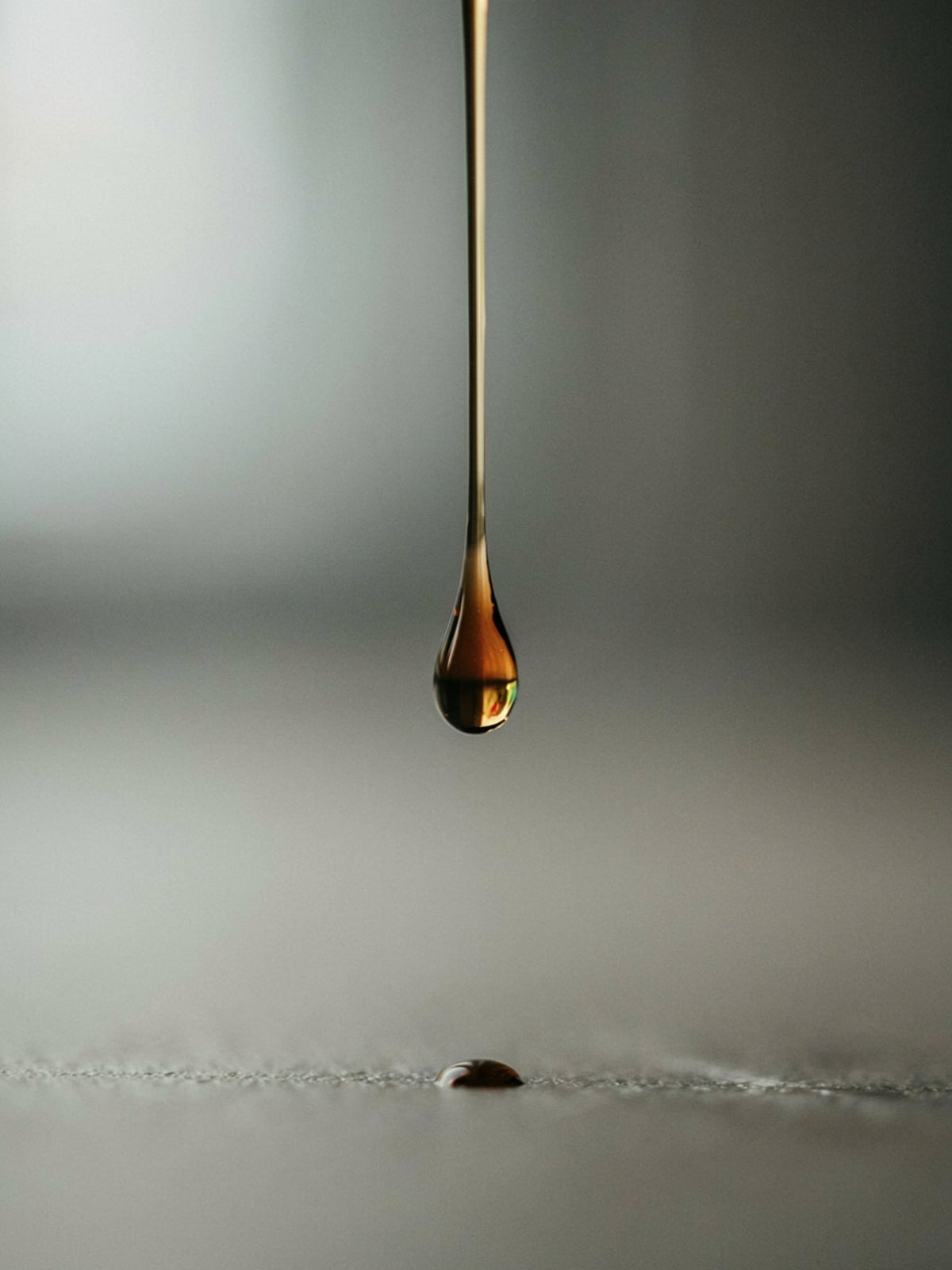 Protein: Seeds vs Oil - gallery 3