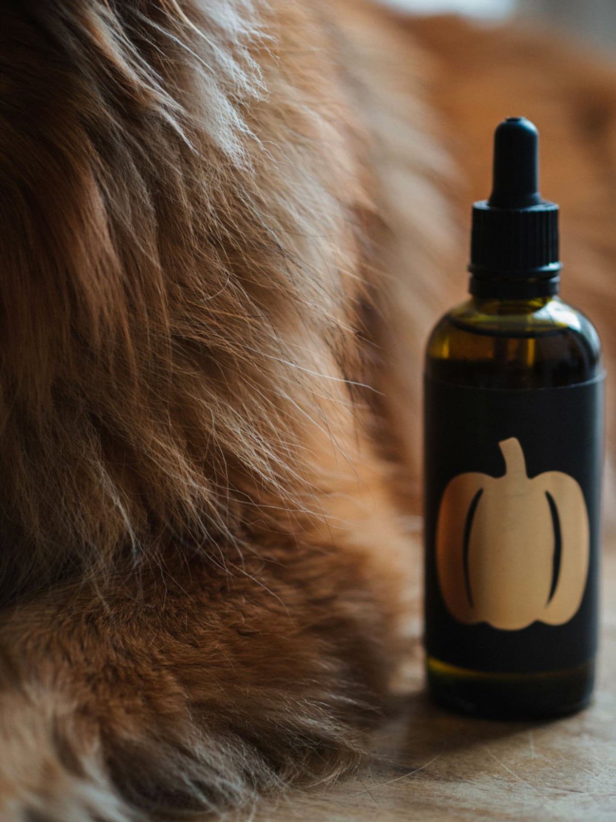 Pumpkin Seed Oil for Dogs - gallery 3
