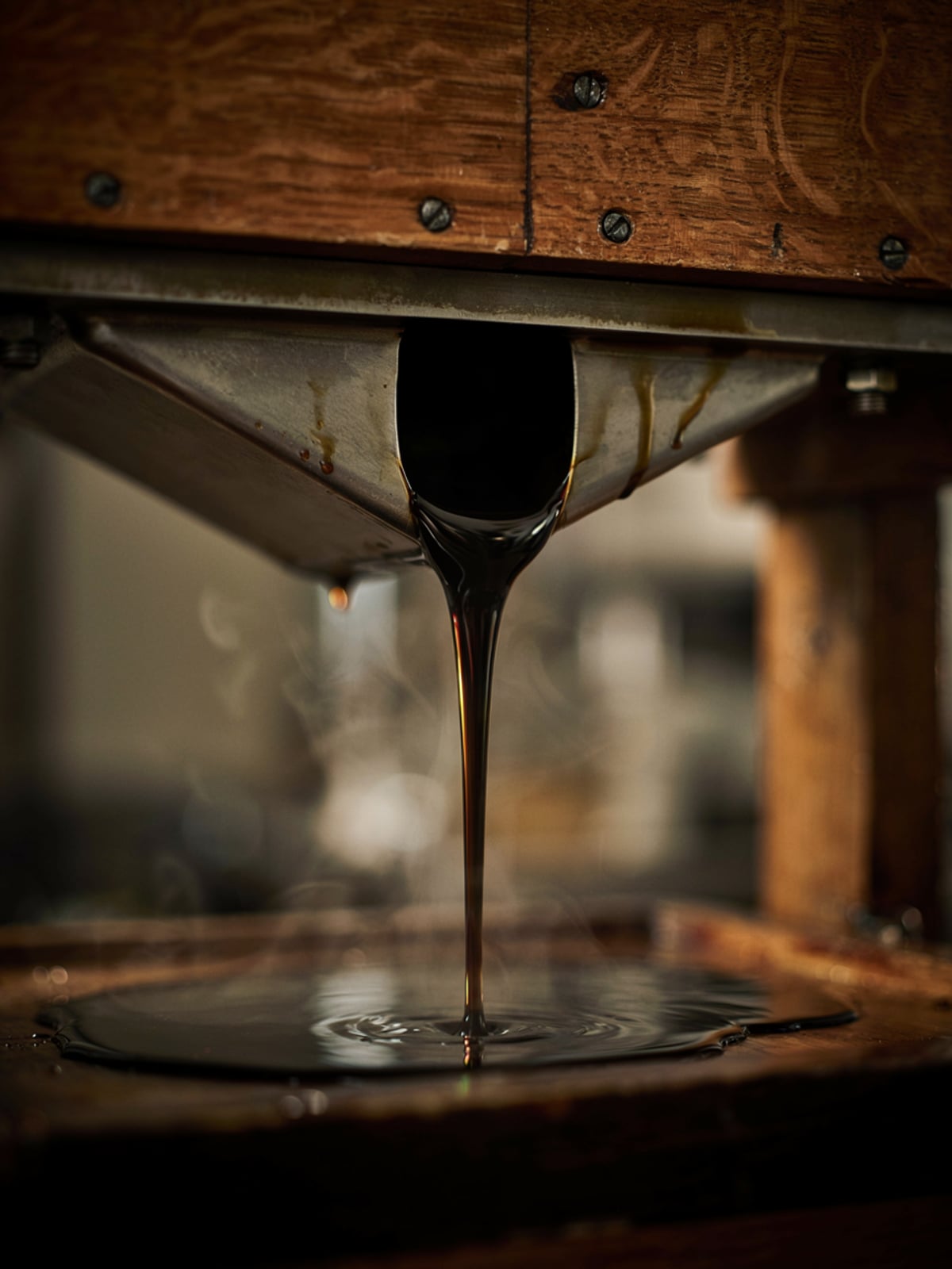How Pumpkin Seed Oil Is Made